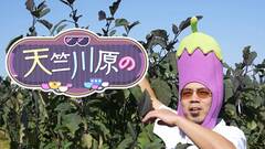 LIONS CHANNEL����